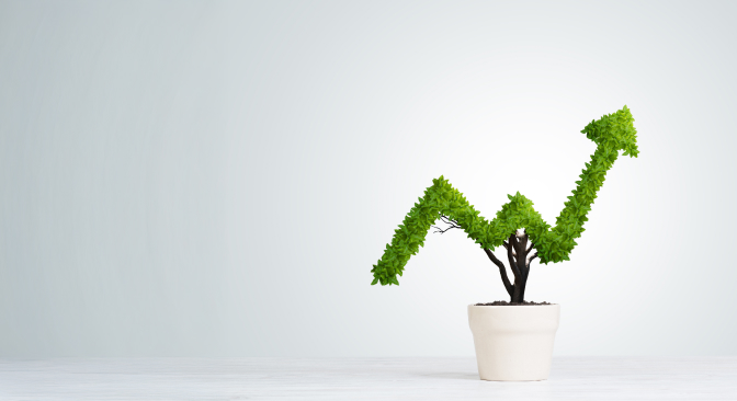 Investment Advisory